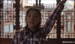 824娱乐圈吃瓜,揭秘明星幕后真相，吃瓜群众狂欢时刻