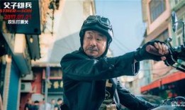 父子雄兵高清在线观看,热血传承，战火青春